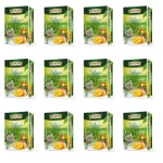 Big-Active - Herbata zielona z opuncją i mango (20tb x 1,7g) X12