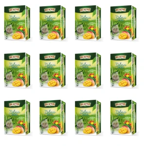 Big-Active - Herbata zielona z opuncją i mango (20tb x 1,7g) X12