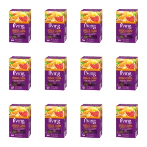 Irving Herbata czarna cytrusowa z imbirem 30 g (20x1,5 g) X12
