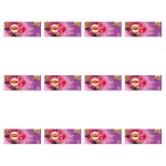 Lipton Fruit Malina i Bez 20TB X12