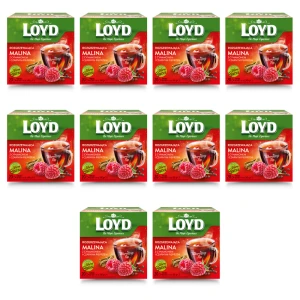 Loyd Herbatka Rozgrzewająca Malina z cynamonem (20x2 g) X10