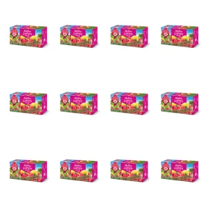 Herbatka owocowa TEEKANNE Świat Owoców Malina z cytryną 20x2.25g X12