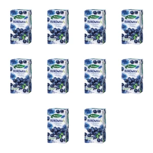 Herbapol herbatka owocowa borówka z kwiatem chabru (20 torebek x 2,3g) 46g X10