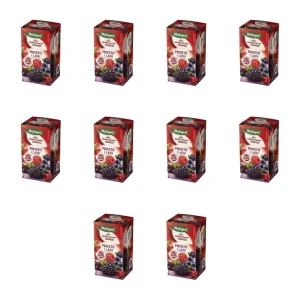 Herbaciany Ogród herbatka owocowa prosto z lasu 20tb/50g X10