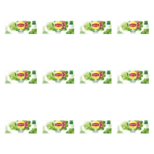 1773270316875-4156-2-x12-d5khn.png