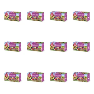 Herbatka owocowa TEEKANNE Świat Owoców Owoce Leśne 20 torebek x 2,50g X12