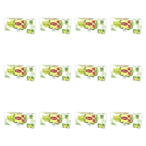 1773271225563-5387-2-x12-4xq64o.png