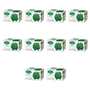 Bifix Mięta Herbatka Ziołowa Ekspresowa 20x2g X10