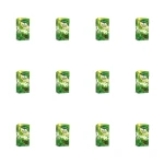 Herbapol - Herbata Zielona liściasta - 80g X12