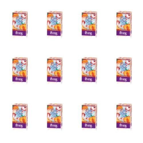 1773271700180-5988-2-x12-tmwfxn.png