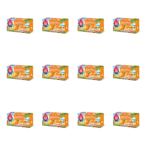 1773272001052-6365-2-x12-3yofgn.png