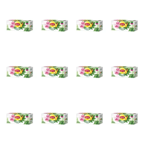 1773272042063-6415-2-x12-flbclm.png