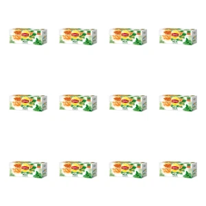 LIPTON CITRUS MINT 20SER PL X12