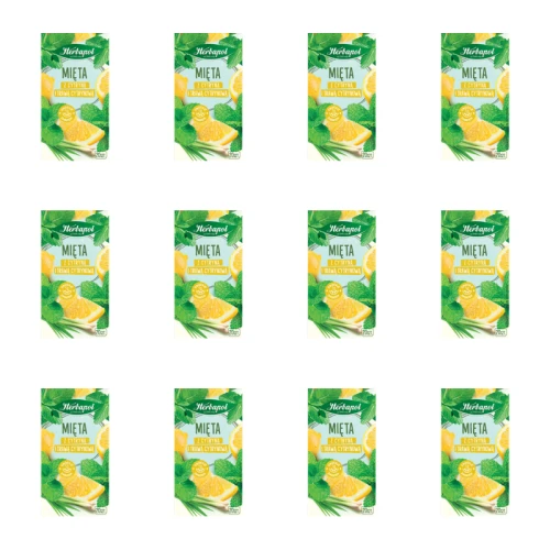 1773272069458-6452-2-x12-ky3h0r.png