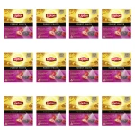 Lipton Piramidka Forest Fruits 20TB X12