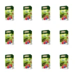 Big-Active Herbata zielona z owocem maliny 100G X12