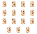 image-editor%2Fmultipack%2F1777033204680-r2723-c1-x15.png