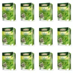Big-Active - Herbata zielona Pure Green (ekspresowa) (20tb x 1,5g) X12