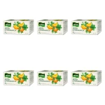 Herbata Vitax Inspiracje Melisa&Pomarańcza 20 torebek x 1,65g X6