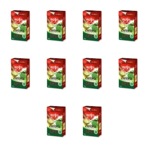 Posti Herbata Liściasta Zielona 80 g X10