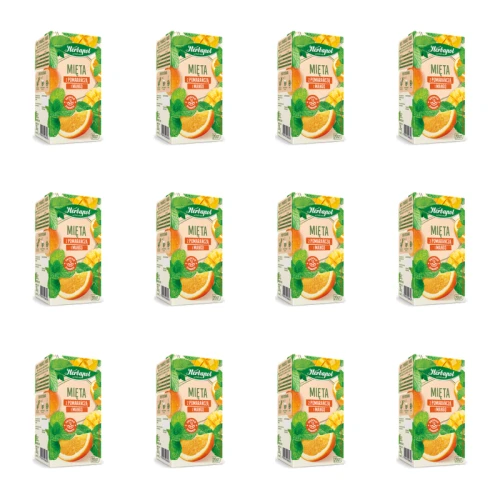 1773274725935-10257-2-x12-yzm4x.png