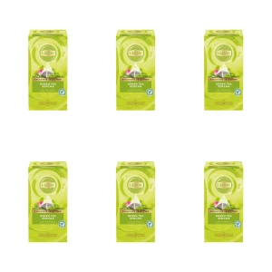Lipton Piramida Green Tea Sencha 25 kopert 45 g (25 x 1,8 g) X6