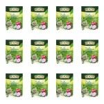 Big-Active Herbata zielona z pitają i miętą 20x1,5g X12