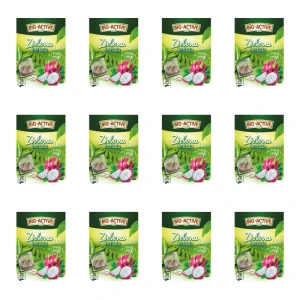 Big-Active Herbata zielona z pitają i miętą 20x1,5g X12