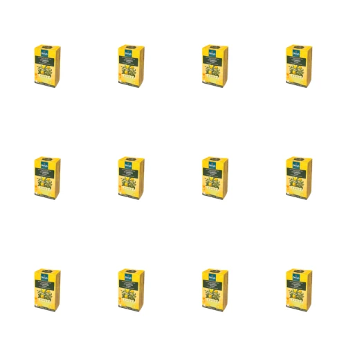 1773276000649-12089-2-x12-g87dvp.png