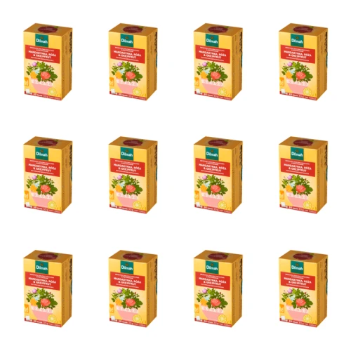 1773276002465-12092-2-x12-95ep35.png