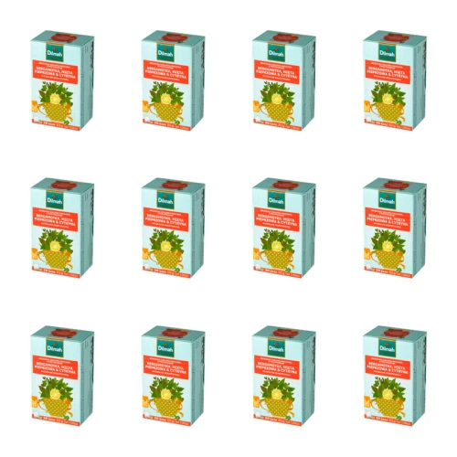 1773276003158-12093-2-x12-hoo6i.png