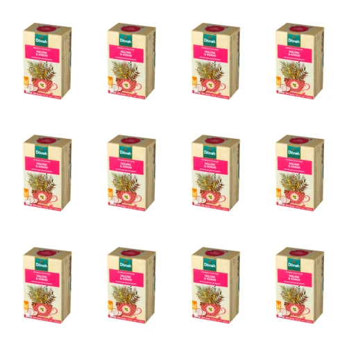 1773276003904-12094-2-x12-222mai.png