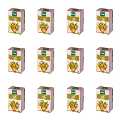 1773276005320-12096-2-x12-5pkly.png