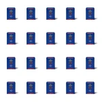English Breakfast The Queen's Tea 100g liść X20