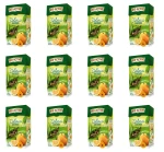 Big-Active - Herbata zielona z pomarańczą 100g X12