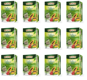 Big-Active - Herbata zielona z papają i jagodami goji (20tb x 1,7g) X12