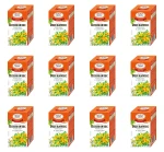 Malwa Herbatka ziołowa dziurawiec suplement diety 20x1,5g X12