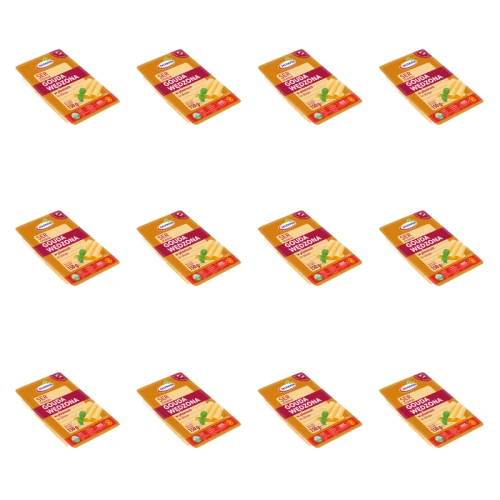 1773268560670-1797-2-x12-nttsl.png