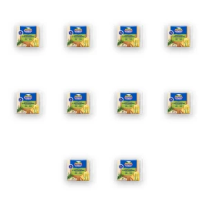 Hochland Ser kremowy w plastrach ze szczypiorkiem 130g X10