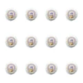 1773274690850-10205-2-x12-0zg6ai.png