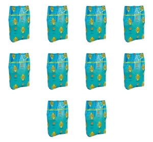 Grana Padano ChNP tarty Auricchio 1 kg X10