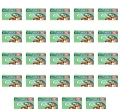 image-editor%2Fmultipack%2F1777033009524-r2549-c1-x24.png