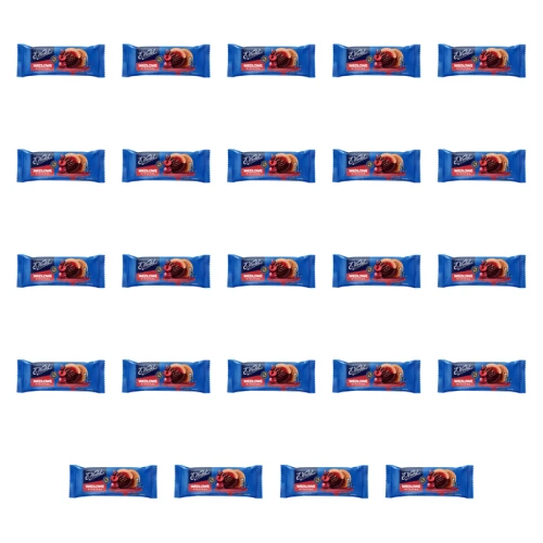 1773267604251-493-2-x24-g1tl9.png