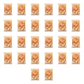 1773267933144-925-2-x26-nvb0th.png