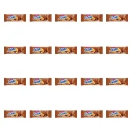 Jeżyki Classic Ciastka w Czekoladzie Mlecznej z Bakaliami - Goplana 140 g X20