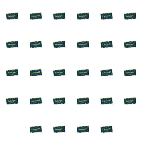 Kopernik Katarzynki Pierniki w czekoladzie deserowej 20,5 g X28 1773272379323-6846-2-x28-2b4nii.png