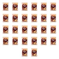 1773272518591-7033-2-x26-thiybq.png