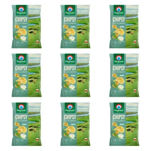 Przysnacki chipsy Łąka na Żuławach o smaku fromage 130 g X9