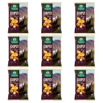 Przysnacki chipsy Spacer pod Giewontem o smaku sera górskiego 130 g X9