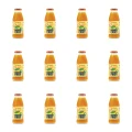1773271205169-5366-2-x12-jey3tv.png